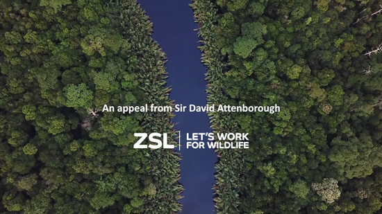 ZSL - An Appeal From David Attenborough